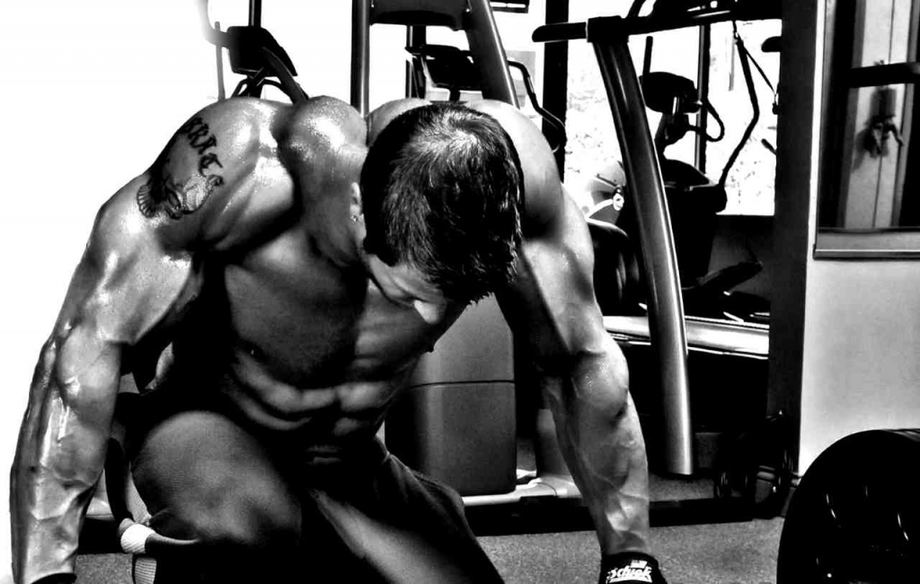 0f96de7680773c77da38634c429bc430