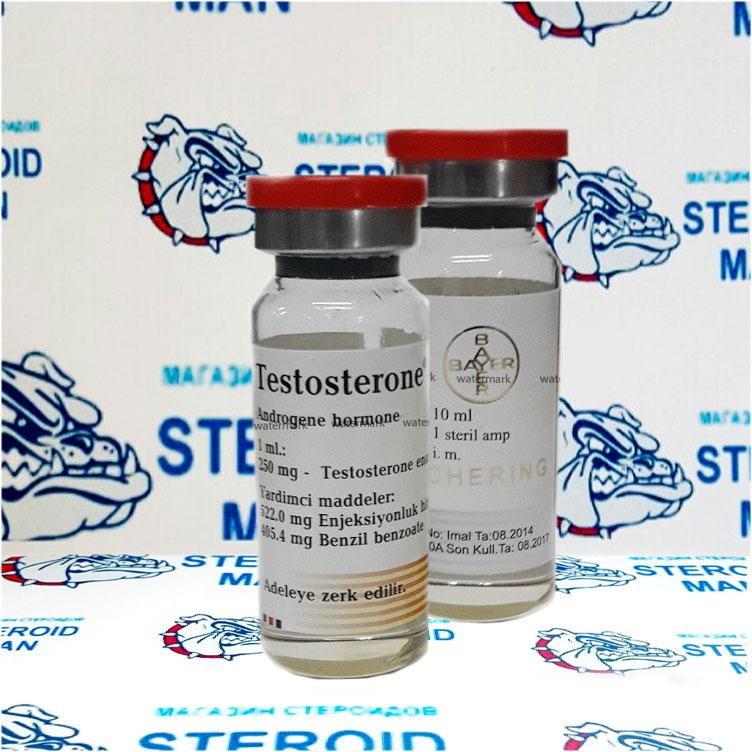 Тестостерон Энантат от Bayer Schering Pharma (250мг1мл) 1 Тестостерон Энантат от Bayer Schering Pharma (250мг1мл)